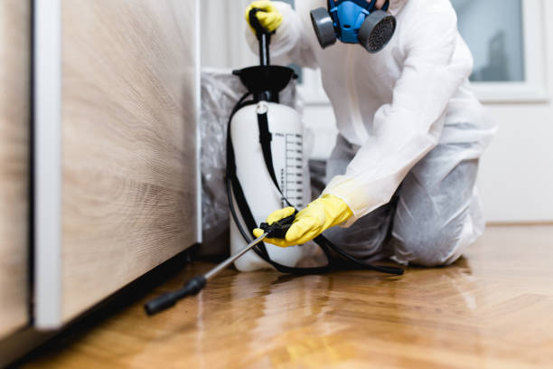 Best Mosquito Control Services  in Hilltop, MN