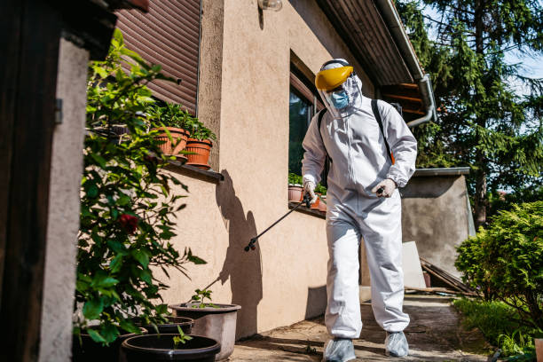 Best Flea Control Services  in Hilltop, MN