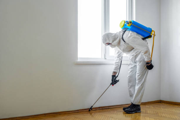 Best Exterminator Services  in Hilltop, MN